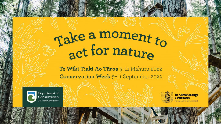 3 Ways to Take Action For Nature This Conservation Week