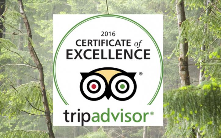 ZIPTREK EARNS 2016 TRIPADVISOR CERTIFICATE OF EXCELLENCE