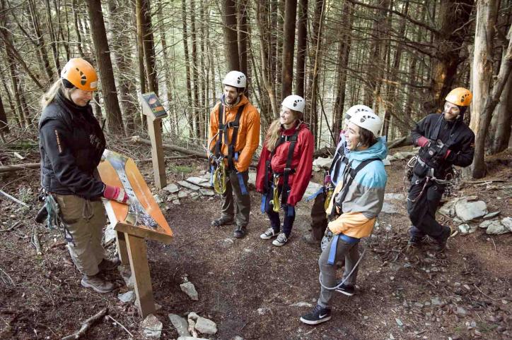 Ziptrek Queenstown Celebrates 5 years in Business