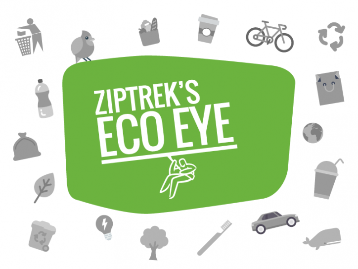 ECO EYE: 3 Easy Eco Swaps!